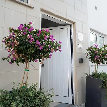 Villa Buganvilia House Carmo Historic Charm *